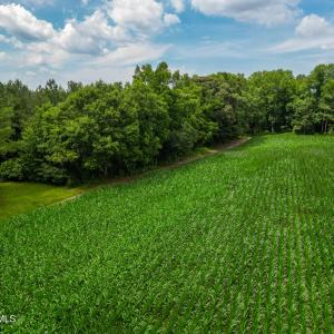 Photo #11 of Tbd Farmers Union, Clarkton, NC 19.1 acres