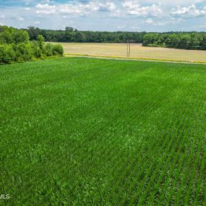 Photo #10 of Tbd Farmers Union, Clarkton, NC 19.1 acres