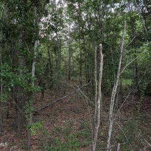 Photo #8 of 285 Garvin, Wagener, SC 5.7 acres