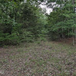 Photo #12 of 285 Garvin, Wagener, SC 5.7 acres