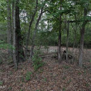 Photo #5 of 285 Garvin, Wagener, SC 5.7 acres