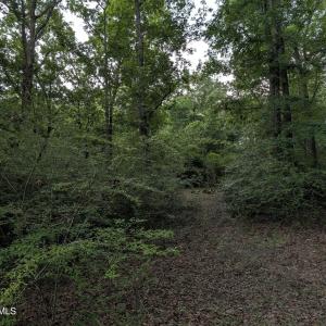 Photo #11 of 285 Garvin, Wagener, SC 5.7 acres