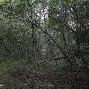 Photo #6 of 285 Garvin, Wagener, SC 5.7 acres