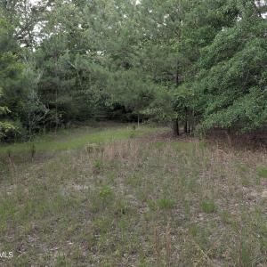 Photo #14 of 285 Garvin, Wagener, SC 5.7 acres