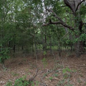 Photo #7 of 285 Garvin, Wagener, SC 5.7 acres