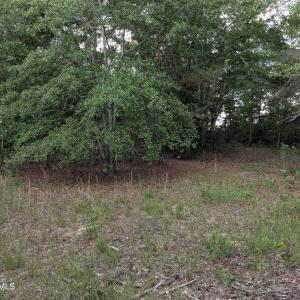 Photo #13 of 285 Garvin, Wagener, SC 5.7 acres