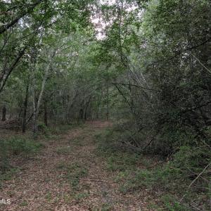 Photo #4 of 285 Garvin, Wagener, SC 5.7 acres