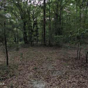 Photo #10 of 285 Garvin, Wagener, SC 5.7 acres
