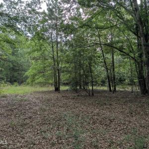 Photo #3 of 285 Garvin, Wagener, SC 5.7 acres
