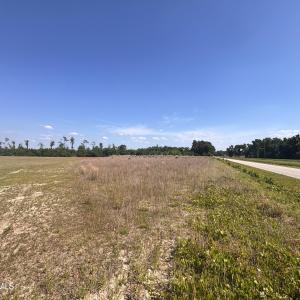 Photo #3 of Lot 2 Bass Lake, Clinton, NC 94.4 acres