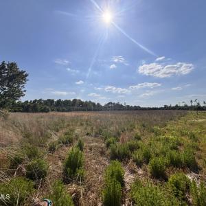 Photo #2 of Lot 2 Bass Lake, Clinton, NC 94.4 acres