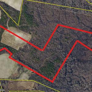Photo #12 of Lot 2 Bass Lake, Clinton, NC 94.4 acres