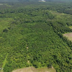 Photo #11 of Lot 2 Bass Lake, Clinton, NC 94.4 acres