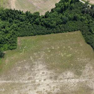 Photo #7 of Lot 2 Bass Lake, Clinton, NC 94.4 acres