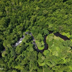Photo #1 of Lot 2 Bass Lake, Clinton, NC 94.4 acres