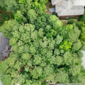 Photo #7 of 341 Huntington, Aiken, SC 0.2 acres