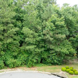 Photo #15 of 341 Huntington, Aiken, SC 0.2 acres