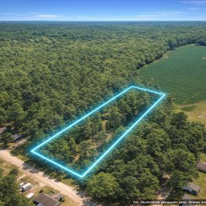 Photo #3 of Pine Oak, Dunn, NC 2.7 acres