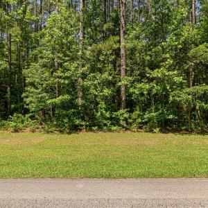 Photo #3 of 313 Antebellum, Havelock, NC 0.7 acres