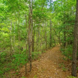 Photo #27 of 311 Antebellum, Havelock, NC 0.7 acres