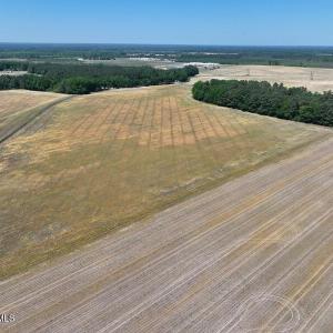 Photo #12 of Tbd Duffie, Red Springs, NC 41.0 acres