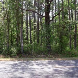 Photo #8 of Tbd Duffie, Red Springs, NC 41.0 acres