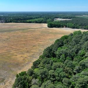 Photo #9 of Tbd Duffie, Red Springs, NC 41.0 acres