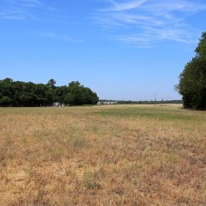 Photo #19 of Tbd Duffie, Red Springs, NC 41.0 acres