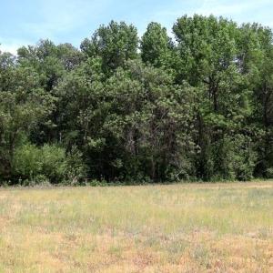 Photo #15 of Tbd Duffie, Red Springs, NC 41.0 acres