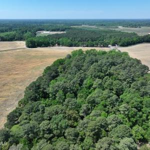 Photo #6 of Tbd Duffie, Red Springs, NC 41.0 acres