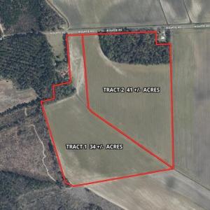 Photo #2 of Tbd Duffie, Red Springs, NC 41.0 acres
