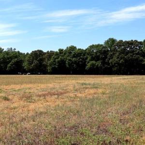 Photo #10 of Tbd Duffie, Red Springs, NC 41.0 acres
