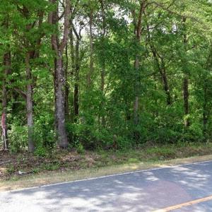 Photo #5 of Tbd Duffie, Red Springs, NC 41.0 acres