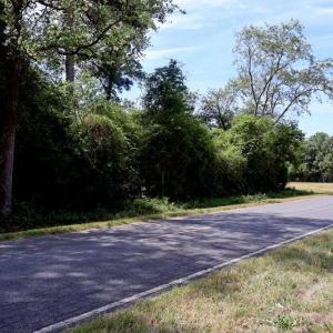 Photo #17 of Tbd Duffie, Red Springs, NC 41.0 acres