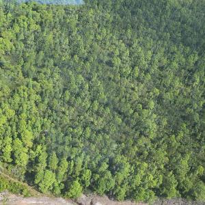 Photo #18 of 483.10 Whiteville, Shallotte, NC 483.1 acres