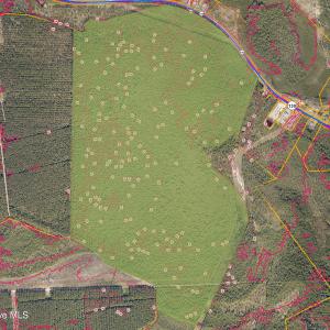 Photo #6 of 483.10 Whiteville, Shallotte, NC 483.1 acres