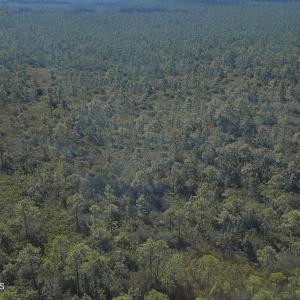 Photo #14 of 483.10 Whiteville, Shallotte, NC 483.1 acres
