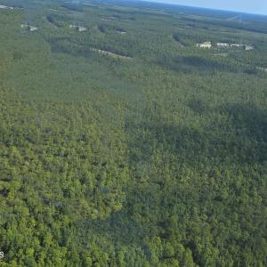 Photo #19 of 483.10 Whiteville, Shallotte, NC 483.1 acres