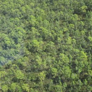 Photo #12 of 483.10 Whiteville, Shallotte, NC 483.1 acres