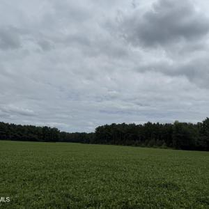 Photo #6 of Marys Chapel Church, Aurora, NC 56.0 acres