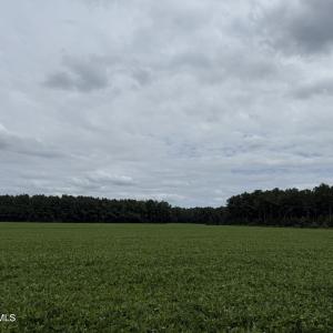 Photo #7 of Marys Chapel Church, Aurora, NC 56.0 acres