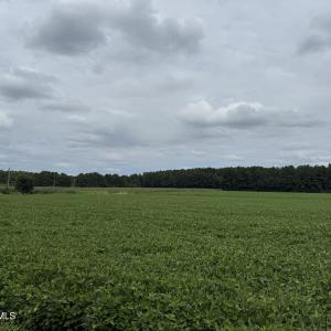 Photo #3 of Marys Chapel Church, Aurora, NC 56.0 acres