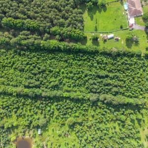 Photo #10 of Lot 10 Rocky Top, Moyock, NC 10.1 acres
