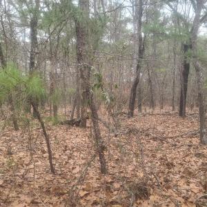 Photo #1 of Tbd Union Church, Carthage, NC 6.9 acres