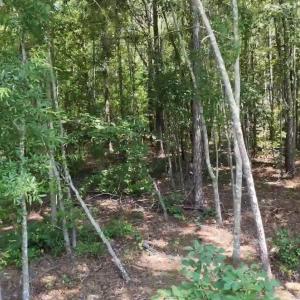 Photo #3 of 110 North Martintown Road, Edgefield, SC 29.0 acres