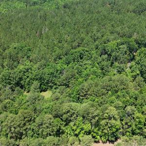 Photo #1 of 110 North Martintown Road, Edgefield, SC 29.0 acres