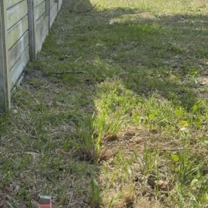 Photo #14 of 413 Spartanburg, Carolina Beach, NC 0.6 acres