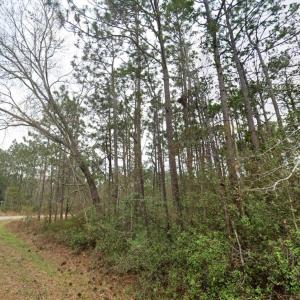 Photo #12 of Lexington, Southport, NC 0.3 acres