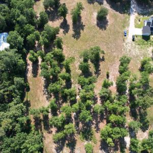 Photo #7 of Redds Branch, Aiken, SC 11.0 acres