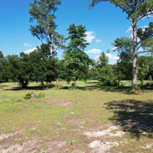 Photo #1 of Redds Branch, Aiken, SC 11.0 acres